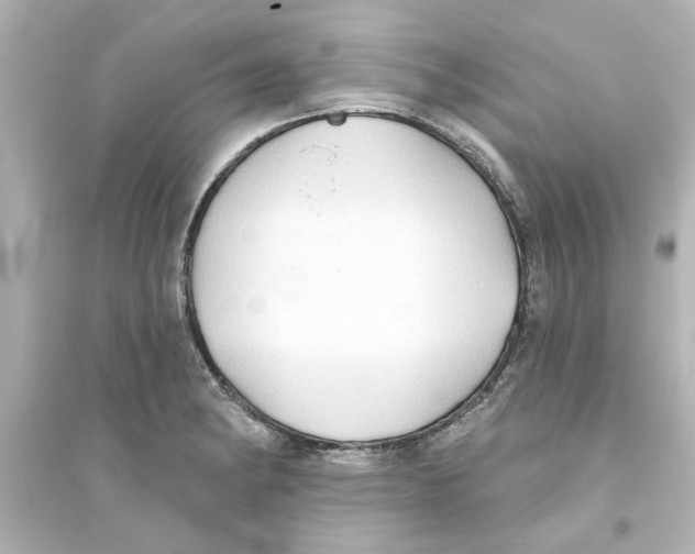 X0000093561182200711121007