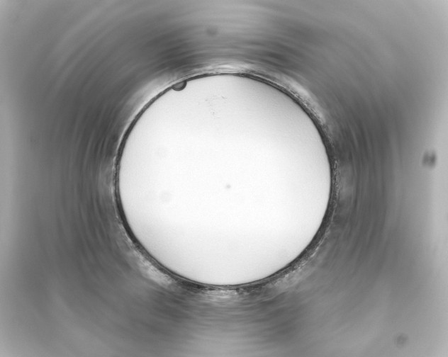 X0000093561186200711121007