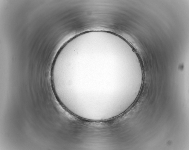 X0000093561189200711121007