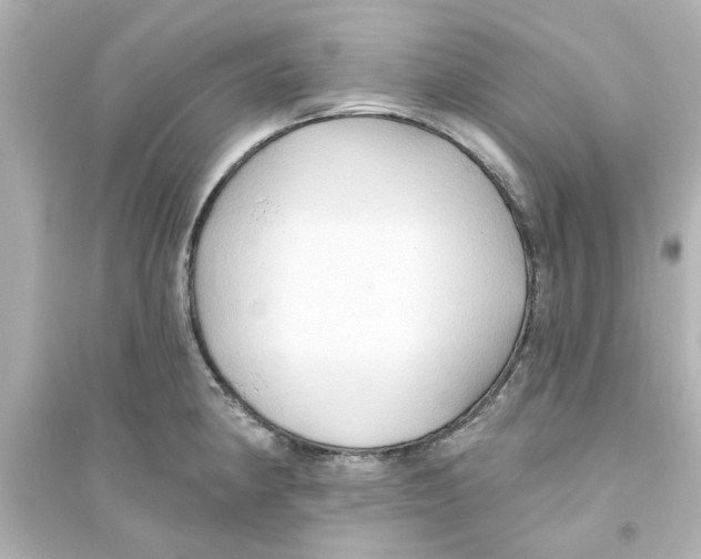 X0000093561190200711121007