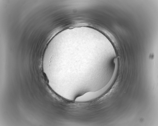 X0000093561193200711121007