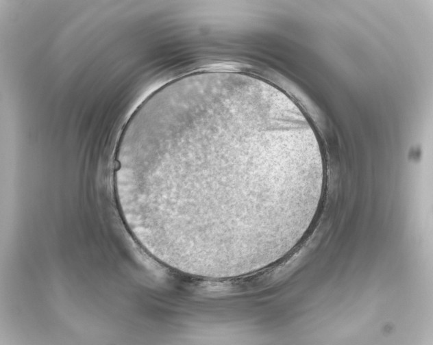 X0000093561194200711121007