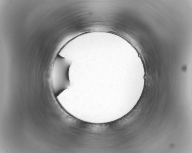 X0000093561195200711121007