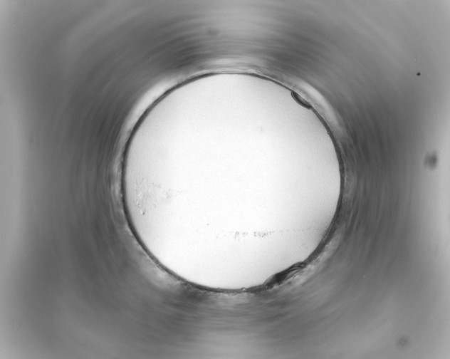 X0000093561196200711121007