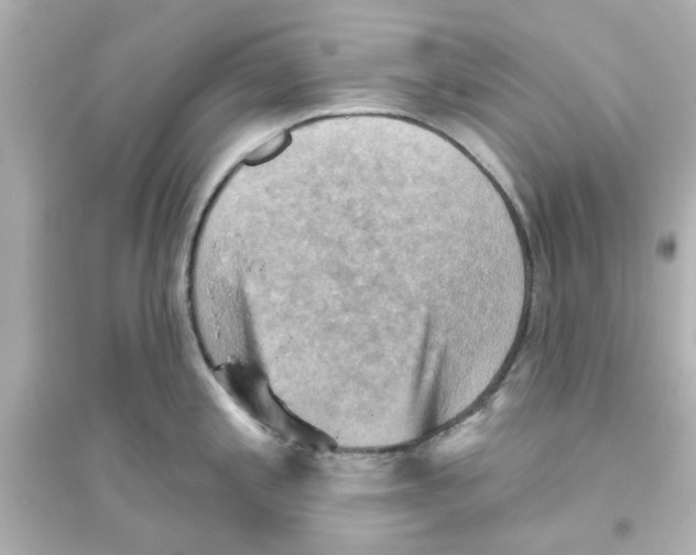 X0000093561197200711121007