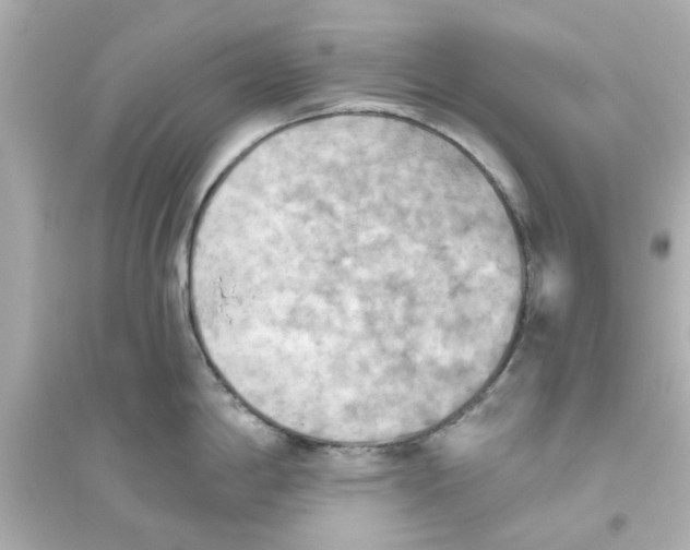 X0000093561198200711121007