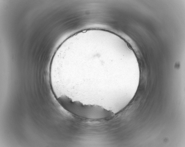 X0000093561199200711121007