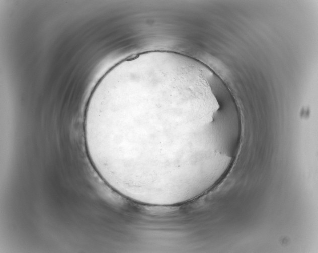 X0000093561200200711121007