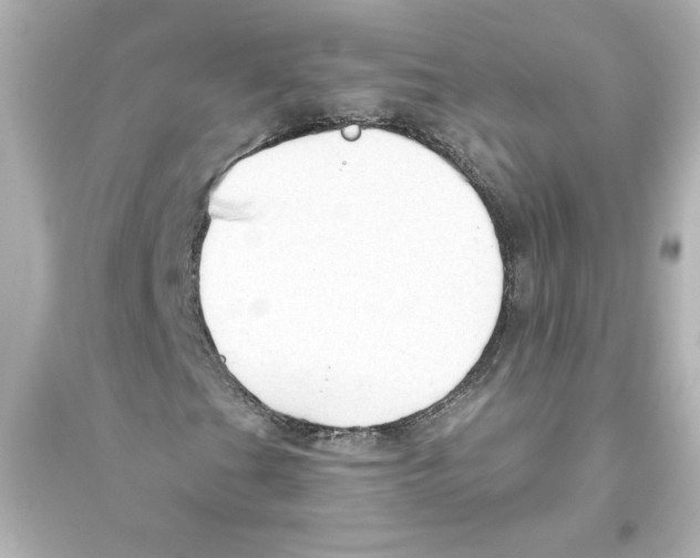 X0000093561201200711121006