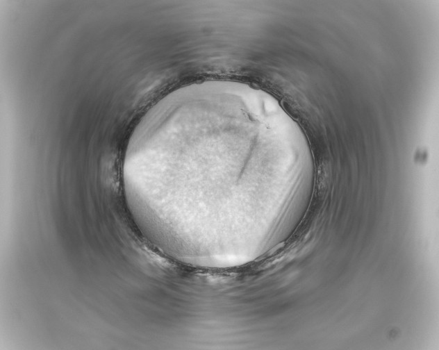 X0000093561202200711121006