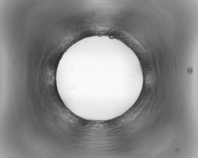 X0000093561204200711121006