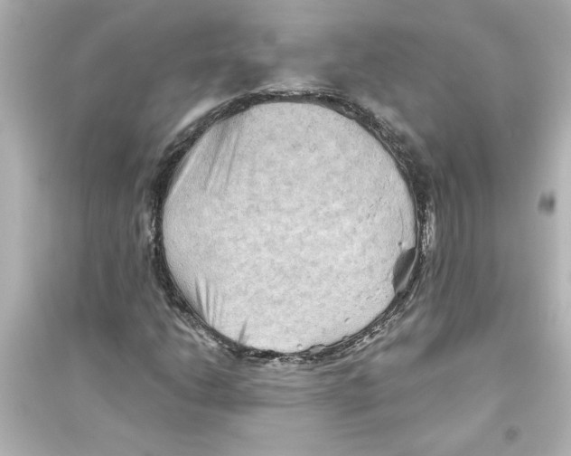 X0000093561206200711121006