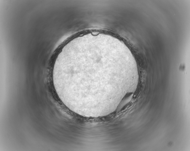 X0000093561208200711121006