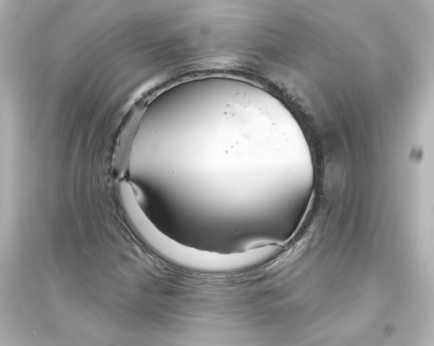 X0000093561210200711121006