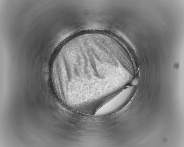 X0000093561213200711121006