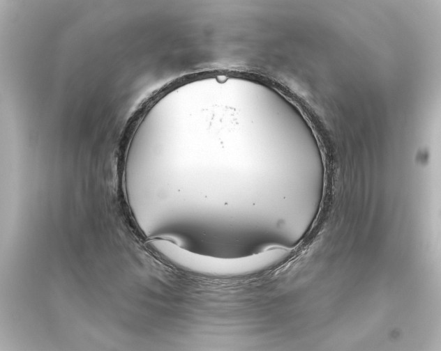 X0000093561214200711121006