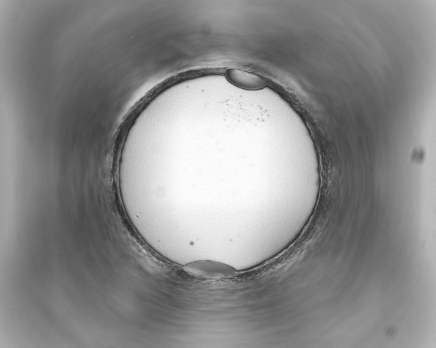 X0000093561216200711121007