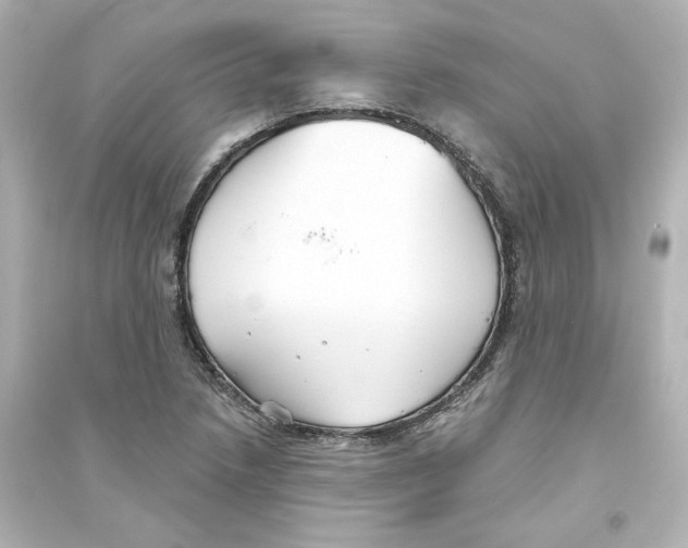 X0000093561218200711121007