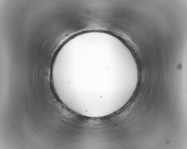 X0000093561220200711121007