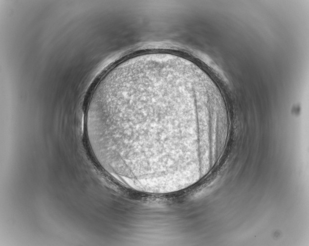 X0000093561221200711121007