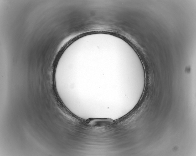 X0000093561222200711121007