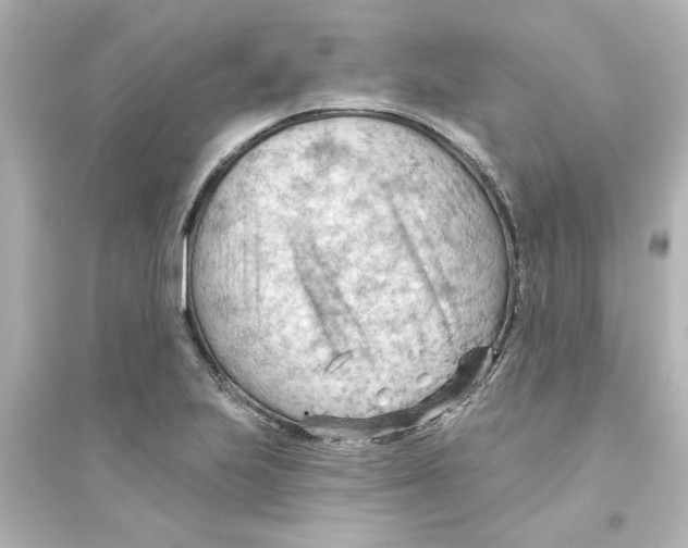 X0000093561223200711121007