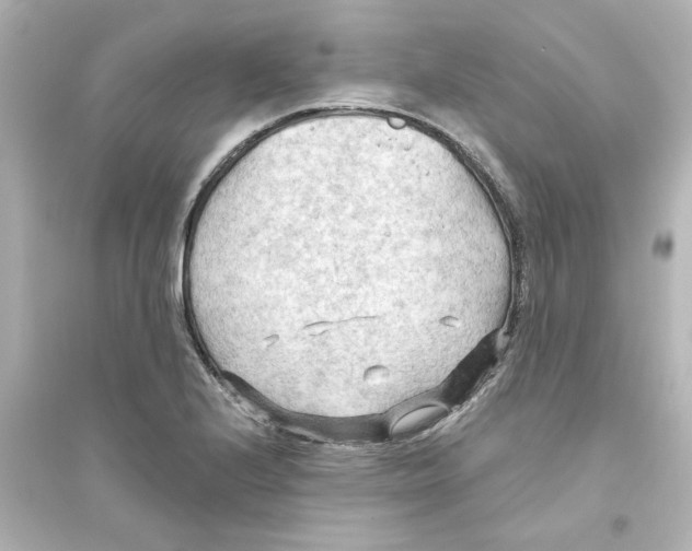 X0000093561224200711121007