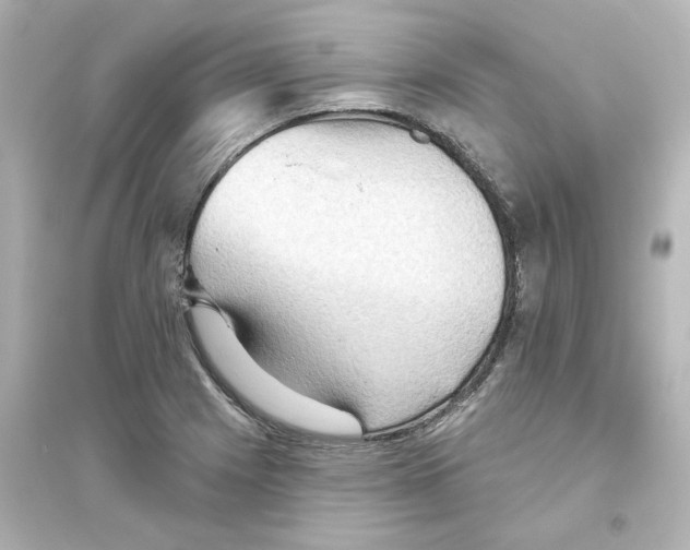 X0000093561225200711121007