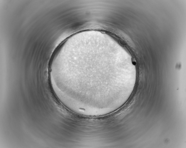 X0000093561226200711121007