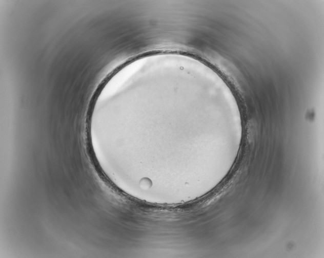 X0000093561229200711121007