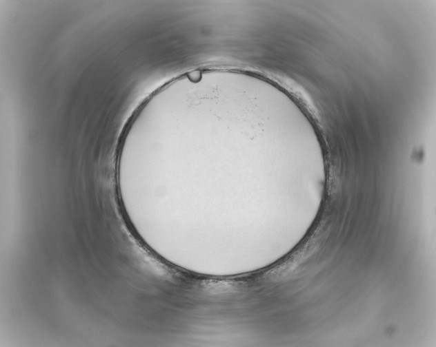 X0000093561231200711121007