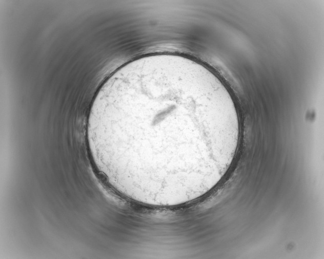 X0000093561233200711121007