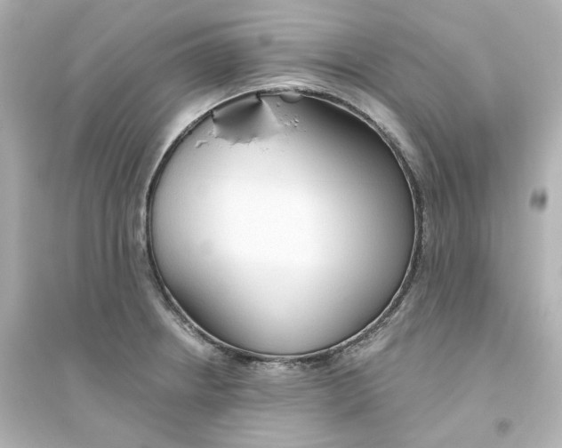 X0000093561234200711121007