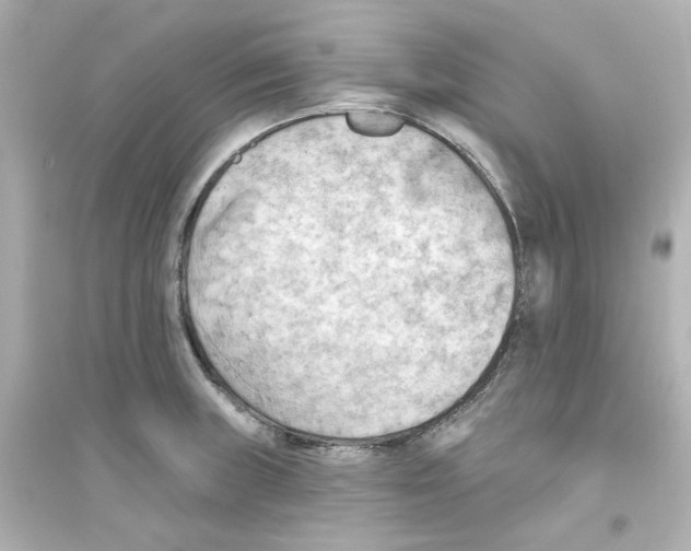 X0000093561235200711121007