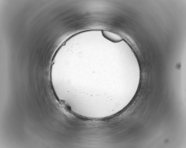 X0000093561236200711121007