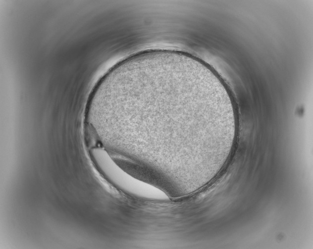 X0000093561237200711121007