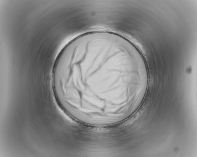 X0000093561239200711121007