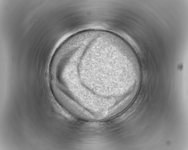 X0000093561240200711121007