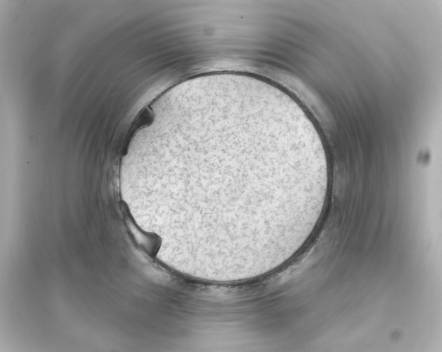 X0000093561241200711121007