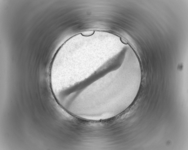 X0000093561243200711121007