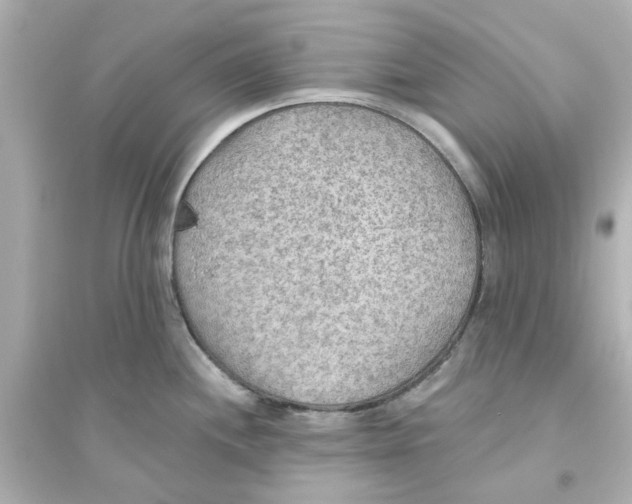 X0000093561244200711121007