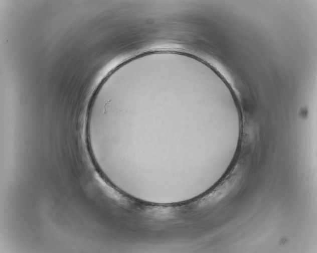 X0000093561245200711121007