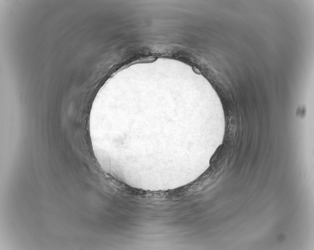 X0000093561249200711121006
