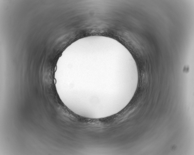 X0000093561250200711121006