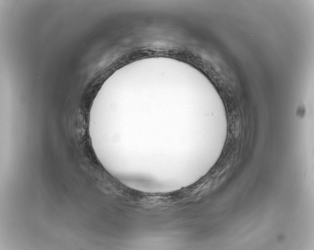 X0000093561253200711121006