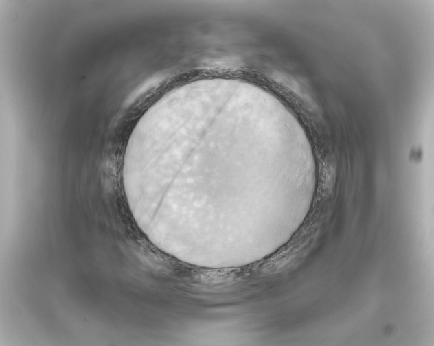 X0000093561254200711121006