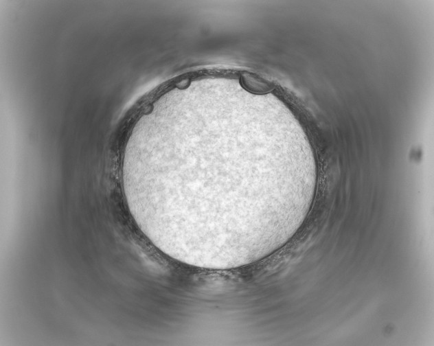 X0000093561255200711121006