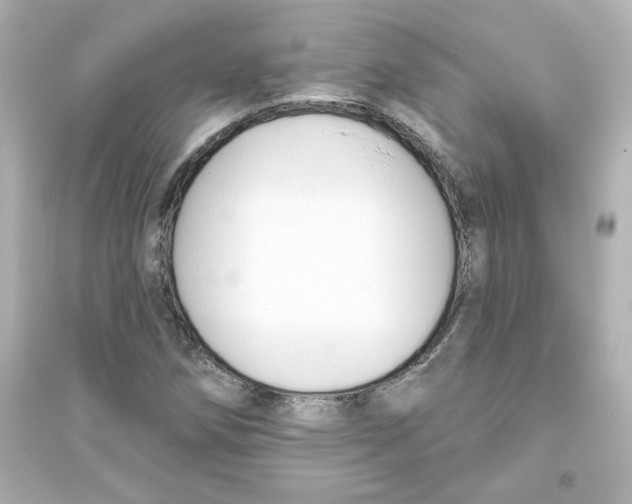 X0000093561258200711121006