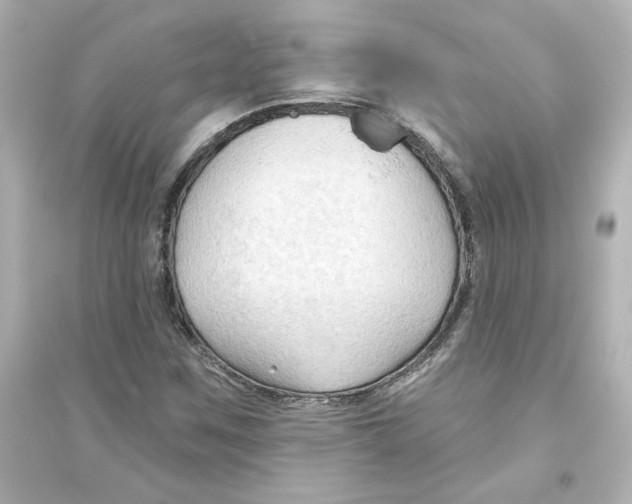 X0000093561259200711121006