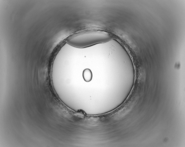 X0000093561261200711121006